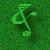 mccand3.gif (4035 bytes)