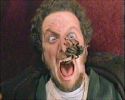 Still the best man-scream ever, imo.