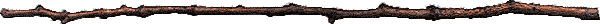 Twig Divider