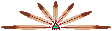 Feather Bar