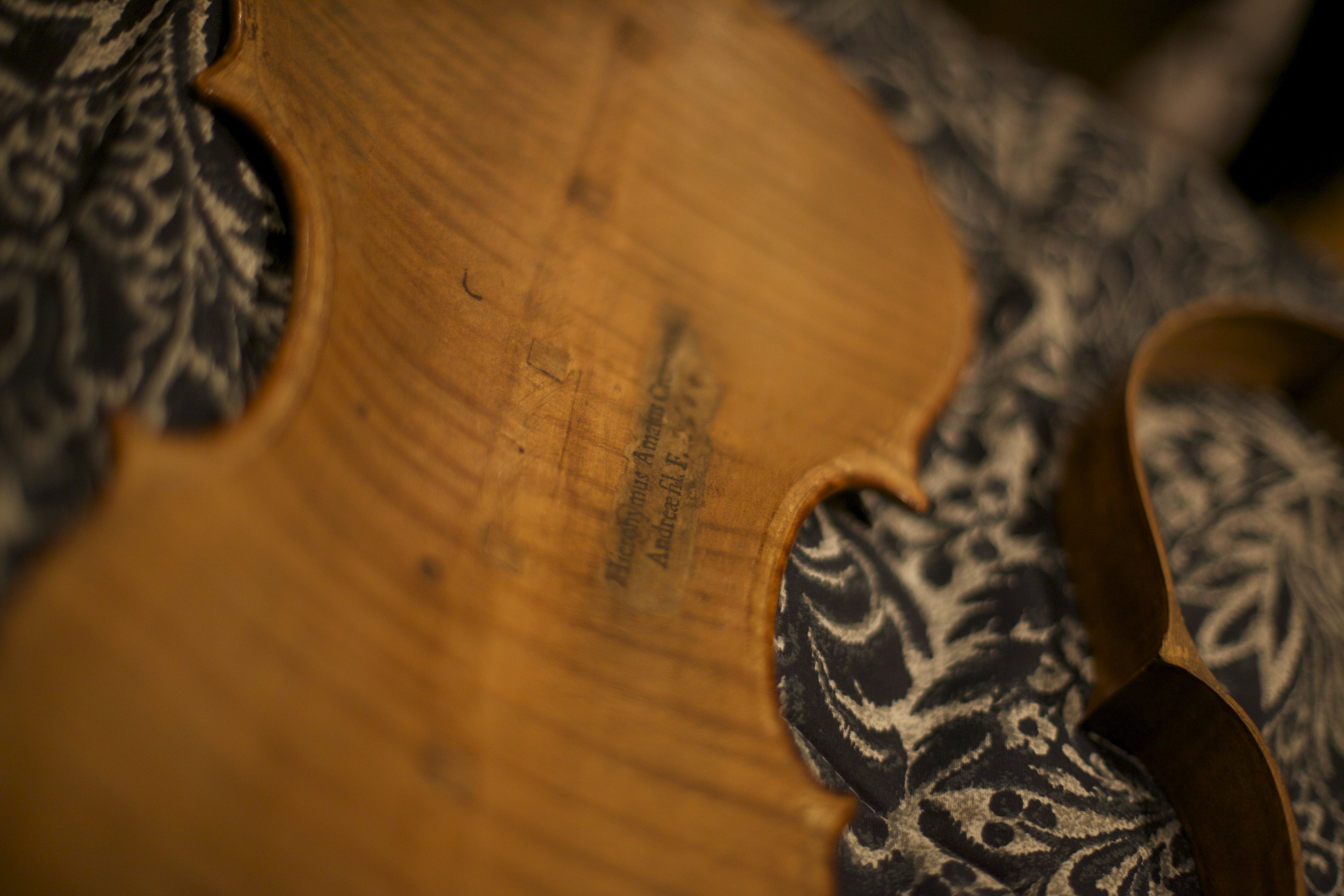 violin back