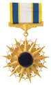 USAF Distinguished Service Medal / 1960 - Now