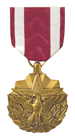 DOD Meritorious Service Medal / 1969 - Now