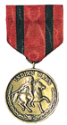 USA Indian Wars Medal / 1865 - 1891