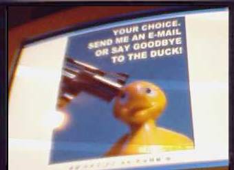 Or the Duck Gets It