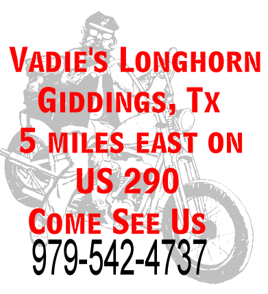 Click here to go to Vadie's