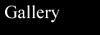 Click Here to See My Gallery.