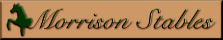 Morrison Stables Logo