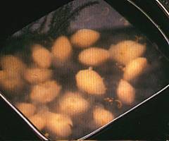 Sago And Gingko Nuts Soup