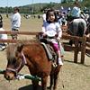 famfun035