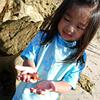 famfun087