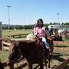 famfun027