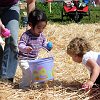 famfun029