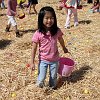 famfun031