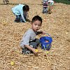famfun034