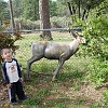 famfun042
