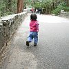famfun046
