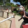 famfun076