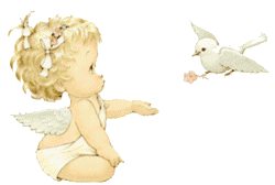 anjinho1.gif (70595 bytes)