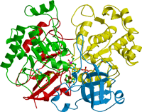 Periplasmic nitrate reductase (NAP)