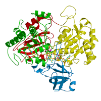 Periplasmic nitrate reductase