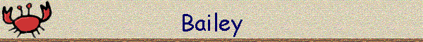 Bailey