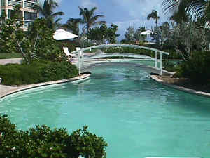 The pool