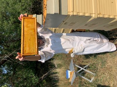 A beekeeper holding honey