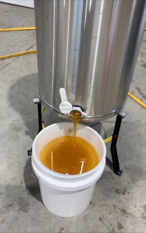 Honey being filtered