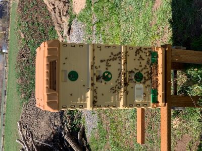 A beehive