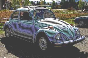 bug1 (15K)