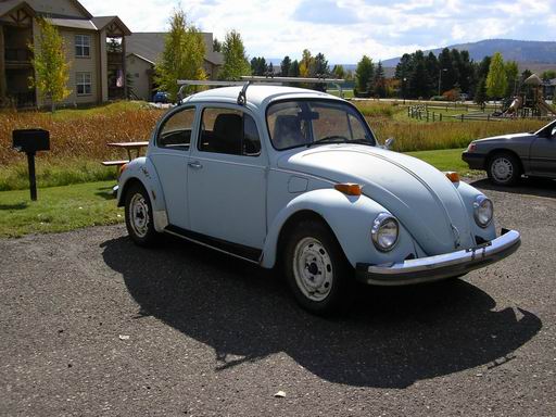bug3 (53K)