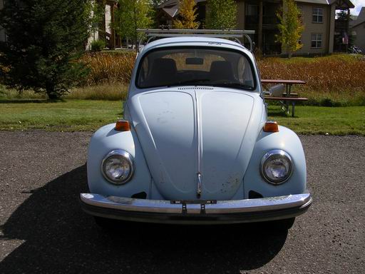 bug4 (47K)