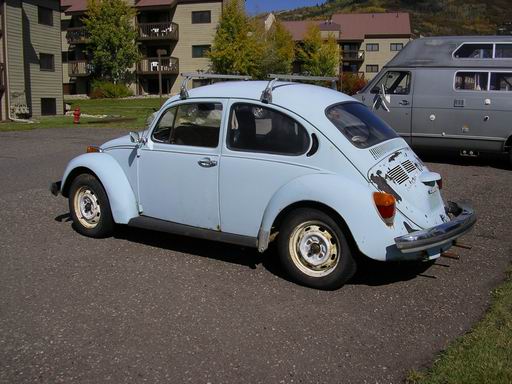 bug5 (51K)
