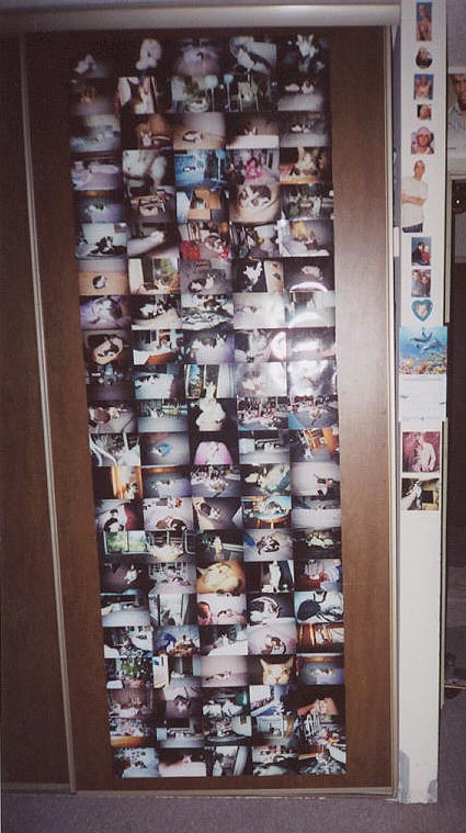 A pic of some of the pics I had of my kitties on my closet in my room in 2004