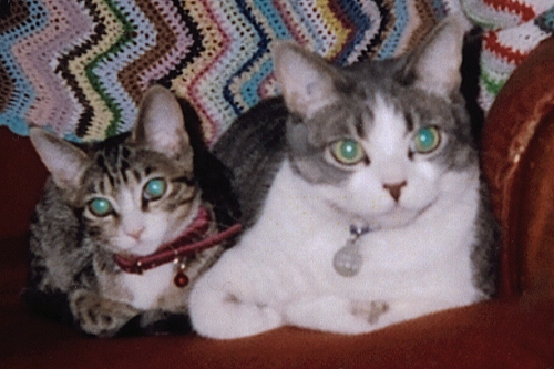 Another pic of Scooter with Chole