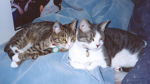Another pic of Scooter with Chloe