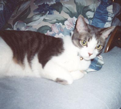 Another pic of Scooter
