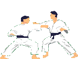 United States Jung Moo Kwan Association