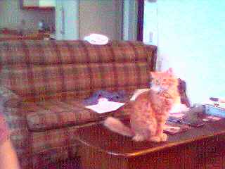 Click here to see Teddy's page