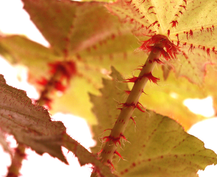 click here for more fall shots!
