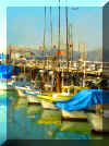 fishwharf2.jpg (88872 bytes)