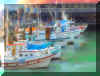 fishwharf4.jpg (80946 bytes)