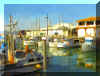 fishwharf6a.jpg (87910 bytes)