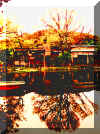 reflectionhk.jpg (109799 bytes)