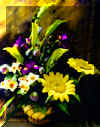 sunflowers02a.jpg (100581 bytes)