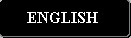 Versi�n en Ingl�s del Sitio