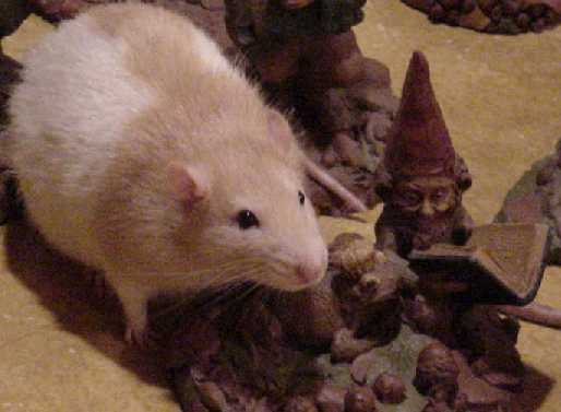 Ector listens to a story