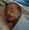 Close up of Nate during father/son Kangaroo session  (37919 bytes)