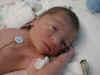 Very first digital camera shots of Nate Part 2  (53739 bytes)